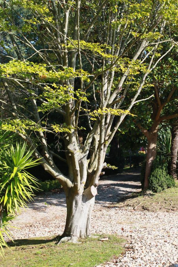 Apartamentos Garden Rock Tonanes Luaran gambar